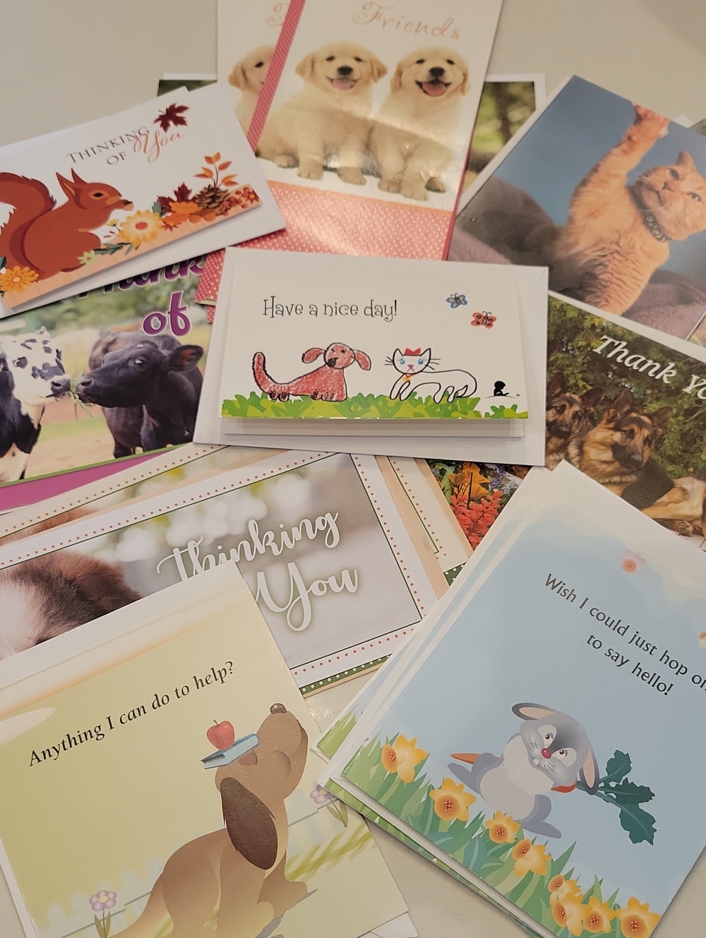 New! Animal Greeting Card Bundl